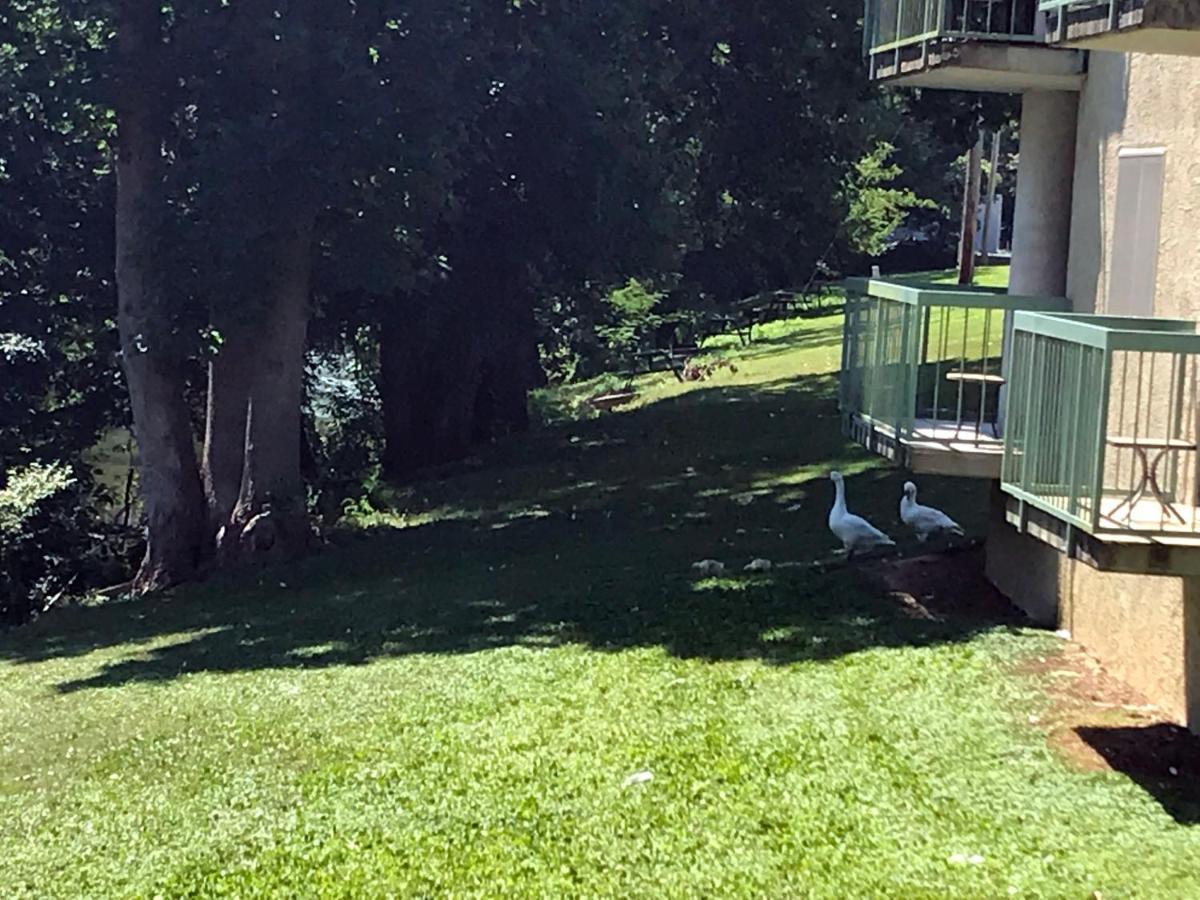 The River Cottage Pigeon Forge Esterno foto